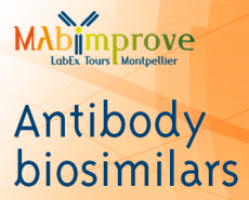 1res assises industrielles du LabEx MAbImprove sur les biosimilaires d'anticorps